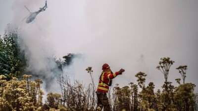 Лесные пожары в Чили: число погибших выросло до 56