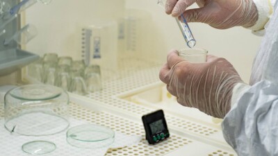 ВОЗ: Более 30 стран за последний месяц сообщили о зарегистрированных случаях оспы обезьян