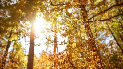 Прогноз погоды на 24 октября: без осадков ожидается на большей части Казахстана