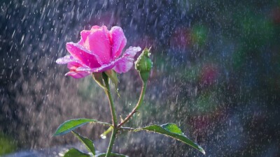 Прогноз погоды на 24 июня: почти на всей территории Казахстана ожидаются дожди, грозы и град