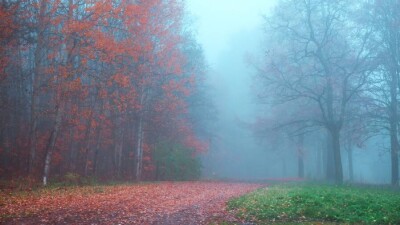 Прогноз погоды на 26 октября: осадки, туман и гололёд ожидаются на севере Казахстана