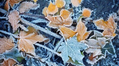 Прогноз погоды на 4 ноября: резкое похолодание ожидается на юге Казахстана