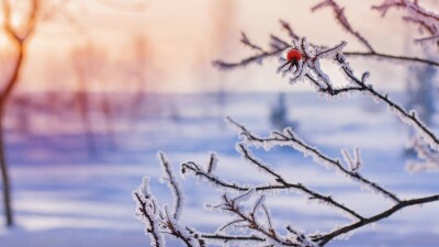 Прогноз погоды на 17 декабря: сильные морозы сохраняются на востоке Казахстана