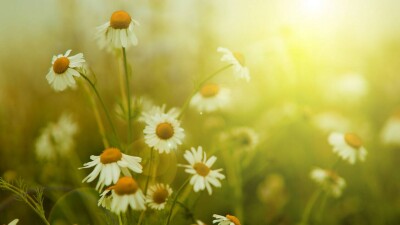 Прогноз погоды на 24 августа: похолодание на севере Казахстана, жара – на юге и востоке