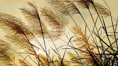 Прогноз погоды на 6 августа: шквальный ветер и гроза ожидаются на юге Казахстана