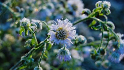 Прогноз погоды на 2 октября: ночные заморозки пришли и на юг Казахстана