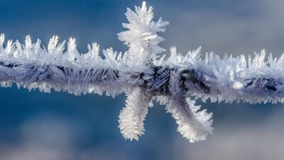 Прогноз погоды на 25 января: ночью на востоке Казахстана ожидается до 40 градусов мороза