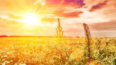 Прогноз погоды на 24 сентября: тепло и без осадков будет по всему Казахстану