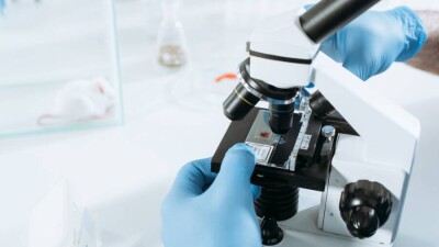 ЮАР передаст другим странам образцы омикрон-штамма Covid-19
