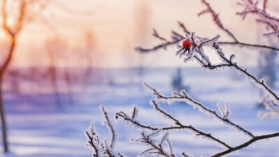 Прогноз погоды на январь: морозные дни будут сменяться тёплыми