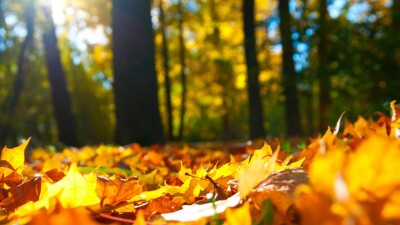 30-градусную жару сменит мороз до -12 градусов: какой будет погода в Казахстане в октябре