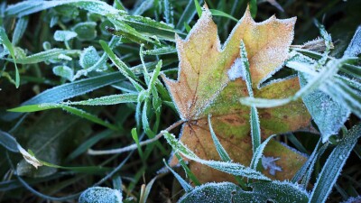 Прогноз погоды на 2 мая: ночные заморозки ожидаются на севере и востоке Казахстана