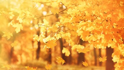 Прогноз погоды на 10 октября: на севере и западе Казахстана ожидаются осадки, на юге тепло до +29 градусов