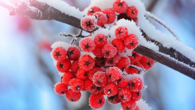 Прогноз погоды на 3 декабря: морозы сохраняются на востоке и севере Казахстана