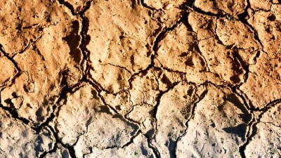 Акимат Аральского района Кызылординской области предложил ввести режим ЧС из-за засухи