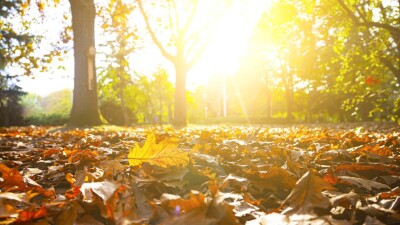 Прогноз погоды на 27 сентября: осадков не ожидается на большей части Казахстана