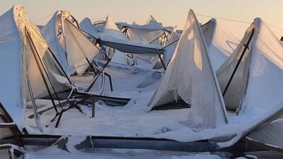 Небывалые морозы и снег уничтожили будущий урожай на юге Казахстана