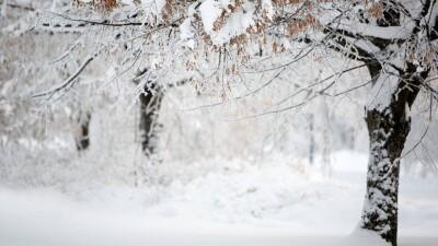 Прогноз погоды на 5 февраля: осадки ожидаются на севере, западе и в центре Казахстана