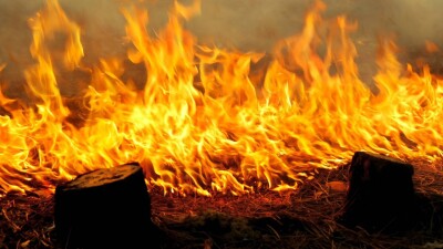 Человек горел на дороге в Астане