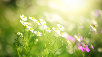 Прогноз погоды на 19 июля: сильная жара сохраняется на юге и местами на западе Казахстана