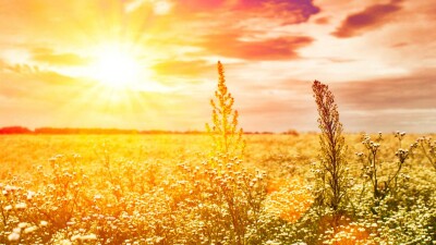 Прогноз погоды на 25 августа: жара сохраняется на юге Казахстана