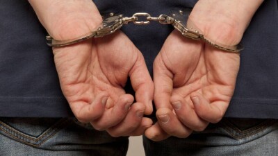 Водителя внедорожника, умышленно наехавшего на лошадь, арестовали на 10 суток