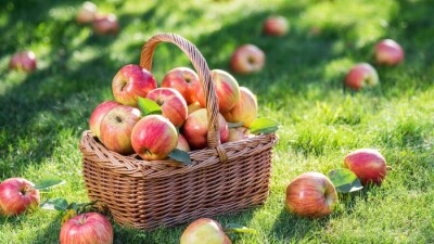 Прогноз погоды на 17 сентября: до +37 градусов ожидается на юге Казахстана