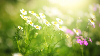 Прогноз погоды на 27 июля: без осадков будет на большей части территории Казахстана