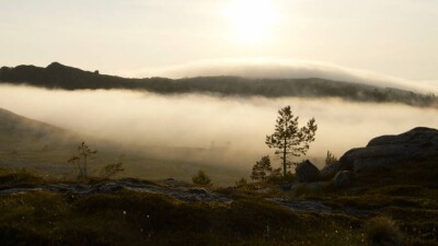 Прогноз погоды на 30 июля: в горных районах на юге Казахстана есть угроза селя