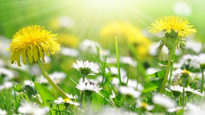 Прогноз погоды на 17 мая: на юге ожидается сильная жара, на севере и западе Казахстана – дождь и град