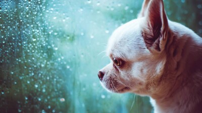 Прогноз погоды на 16 ноября: на севере и западе Казахстана ожидаются осадки, местами гололёд