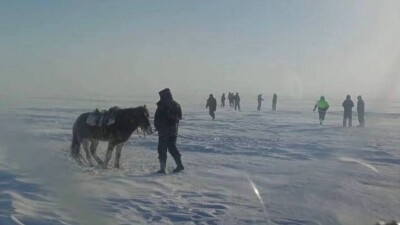 Пропавшего три дня назад в степи Костанайской области пастуха нашли живым
