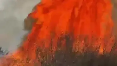 Сухая трава загорелась вдоль канала в Кызылорде, под угрозой оказались здания и дома