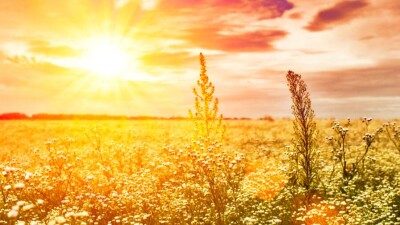 Прогноз погоды на 22 июня: сильная жара ожидается почти на всей территории Казахстана