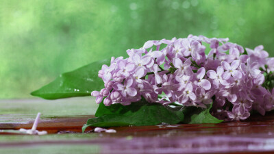 Прогноз погоды на 12 мая: на западе Казахстана ожидаются дожди, на севере – местами ночные заморозки