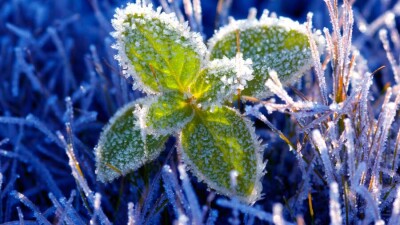 Прогноз погоды на 22 апреля: мороз и гололёд ожидаются на севере Казахстана