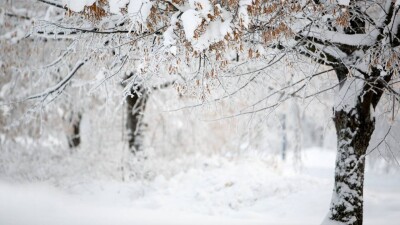 Прогноз погоды на 1 января: понижение температуры, метель ожидаются на севере Казахстана