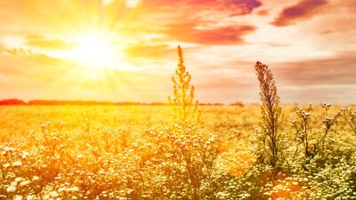 Прогноз погоды на 19 июля: сильная жара сохраняется на большей территории Казахстана