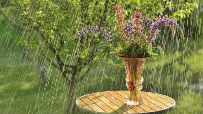 Прогноз погоды на 8 августа: дожди с грозами пройдут почти на всей территории Казахстана, кроме юга