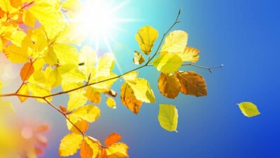 Прогноз погоды на 15 октября: тёплая и сухая погода ожидается почти на всей территории Казахстана