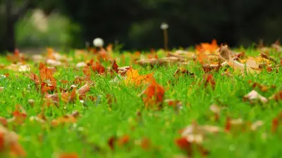 Прогноз погоды на 10 октября: ожидаются заморозки в южных регионах страны