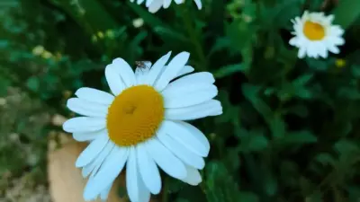 Прогноз погоды на 5 июня: 40-градусная жара ожидается на юге, дожди с грозами – на севере и востоке страны