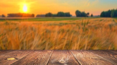 Прогноз погоды на 20 августа: на юге Казахстана отступает жара, на севере ожидаются заморозки