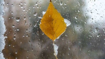 Прогноз погоды на 1 декабря: в Астане и 11 регионах объявили штормовое предупреждение