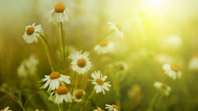 Прогноз погоды на 21 июля: спад жары ожидается в Астане и на севере Казахстана