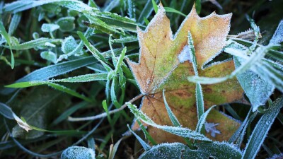 Прогноз погоды на 26 октября: резкое понижение температуры ожидается на юге Казахстана