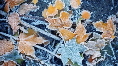 Прогноз погоды на 5 ноября: усиление ветра и мороз ожидаются на большей части территории Казахстана