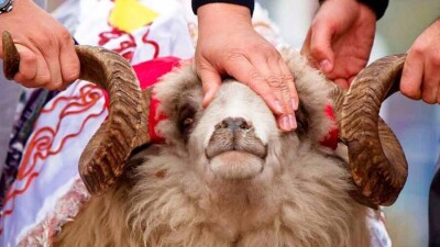 Санврач Нур-Султана подписала постановление об ограничениях во время Курбан айта