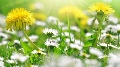 Прогноз погоды на 9 июня: температура резко понизится на севере Казахстана