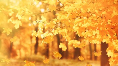 Прогноз погоды на 18 октября: днём тепло и ясно ожидается на всей территории Казахстана